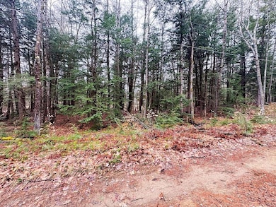 0000 Cedar Dr unit 11000, Gilmanton, NH 03237 - photo 3