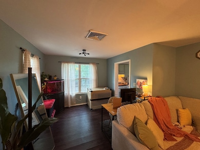 1911 S County Line Rd, Albany, GA 31705 - photo 6