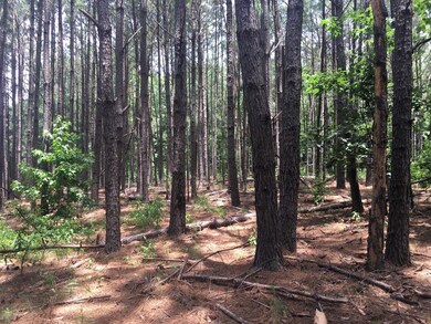 14523 Beckenridge Dr, Upatoi, GA 31829 - photo 5