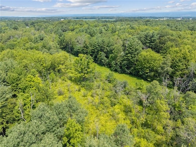 0 Van Dorn Rd S unit R1624063, Enfield, NY 14850 - photo 4