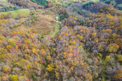 TBD 3 Mayito Ln, Mouth of Wilson, VA 24363 - photo 7