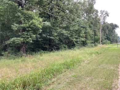 LOT 120 White Birch, Conroe, TX 77385 - photo 3