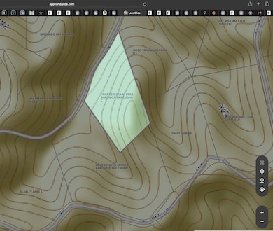 0 Rolling Hills Rd unit RTC3061232, Lobelville, TN 37097 - photo 7