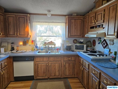 66 Flurry Ln, Silver City, NM 88061 - photo 3