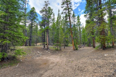 2221 Kootchie Rd, Alma, CO 80420 - photo 6