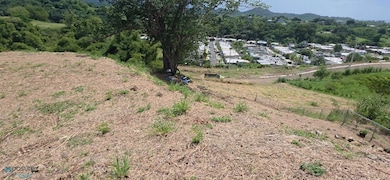 0 Stella Royal unit Solar 1, Rincon, PR 00677 - photo 7