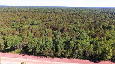 0 72nd St unit A 21020958, Idlewild, MI 49642 - photo 6