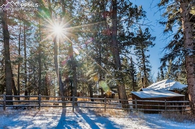 515 N Park St, Woodland Park, CO 80863 - photo 3