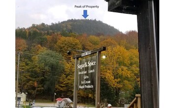 0 Old Stockbridge Path unit 4931817, Mendon, VT 05701 - photo 4