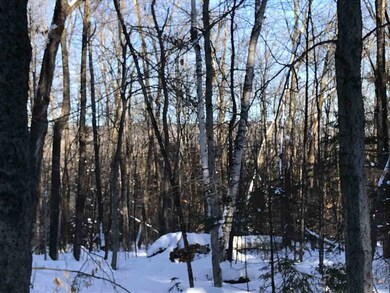 00 Holden Hill Rd unit Lot 2, Weston, VT 05161 - photo 4