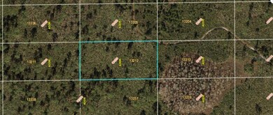 0 Dill Rd unit MFRO6231645, Orlando, FL 32820 - photo 2