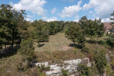 155 Bear Crawl Rd, Jasper, TN 37347 - photo 5