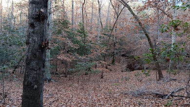 3815 River Mill Ln, Franklinton, NC 27525 - photo 2