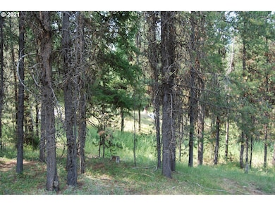 0 Main St, Sumpter, OR 97877 - photo 6