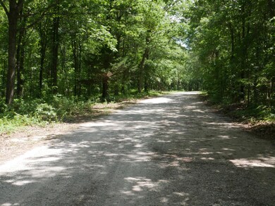 Tbd Tract #1 Private Rd 1197, Aurora, MO 65605 - photo 6