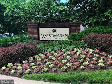 20965 Timber Ridge Terrace unit 304, Ashburn, VA 20147 - photo 4