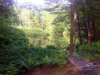 View. Pond in the summer!