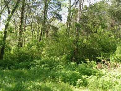 0 Verona Caney Rd unit 1632993, Chapel Hill, TN 37034 - photo 5