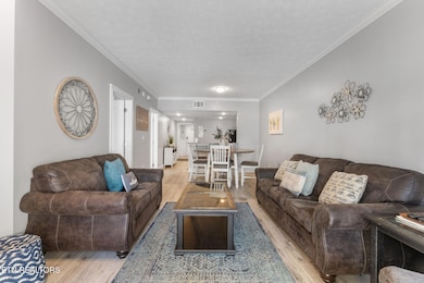 820 Golf View Blvd unit 2303, Pigeon Forge, TN 37863 - photo 5