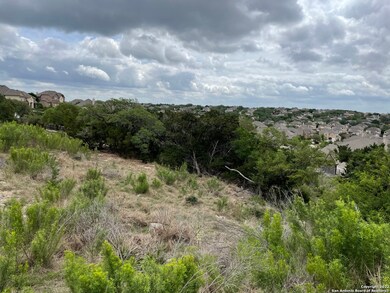 25914 Big Cypress, San Antonio, TX 78261 - photo 7