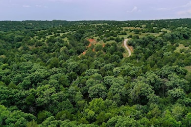 Rr Hwy 281, Fairview, OK 73737 - photo 6