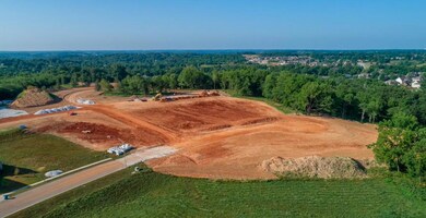 L47 Ph2 Irish Hills Estates, Nixa, MO 65714 - photo 5
