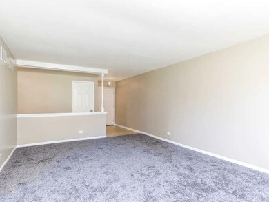 842 N Columbia St, Naperville, IL 60563 - photo 7