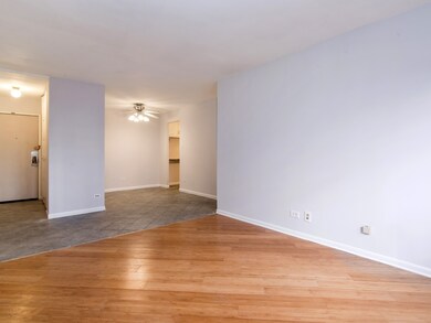 611 W Patterson Ave unit 104, Chicago, IL 60613 - photo 6
