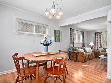 239 Martin Branch Rd, Leicester, NC 28748 - photo 4