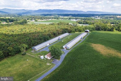 723 Wakemans Grove Rd, Edinburg, VA 22824 - photo 2