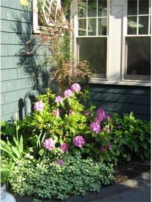 271 Elmwood Ave, Quincy, MA 02170 - photo 7