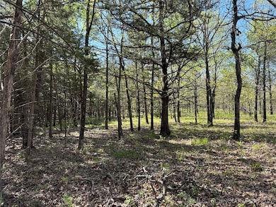 11 E Blue Creek Rd, Blocker, OK 74501 - photo 6