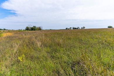 000 Morgan Ln, Sheridan Township, MO 65648 - photo 2