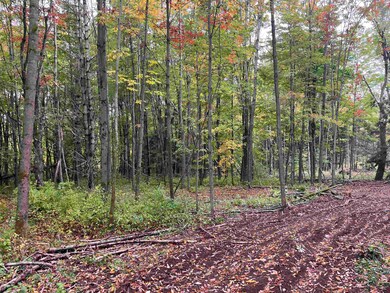 002 Duck Pond Rd, West Glover, VT 05822 - photo 5