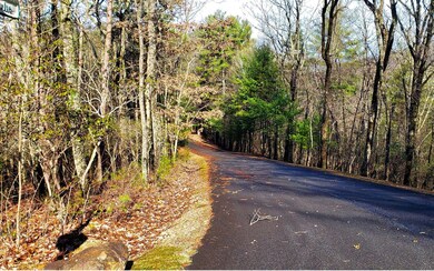 LT 8 Turkey Knob Estates, Ellijay, GA 30540 - photo 4