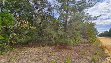 0 Michael Ave unit 25580690, Interlachen, FL 32148 - photo 2