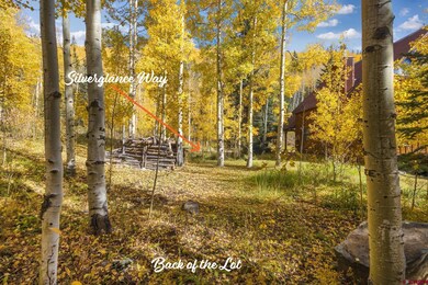 Lot 7A Silverglance Way, Rico, CO 81332 - photo 7