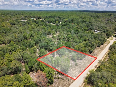 110 Oklahoma St unit Hawthorne FL 32640, Hawthorne, FL 32640 - photo 3