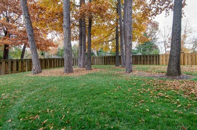 Rush Court (40)