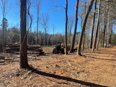 395 Mt Vernon Hcry Mt Rd, Siler City, NC 27344 - photo 2