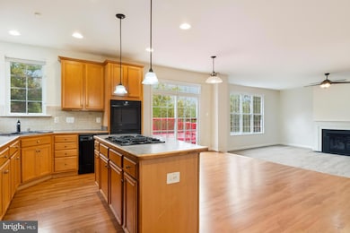 2086 Downshire Ct, Waldorf, MD 20603 - photo 4