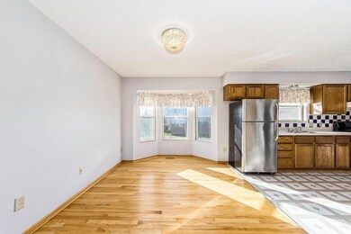 C - 2985 Ambarwent (16)