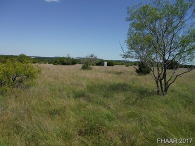 Tract 14 Private Road 3642, Copperas Cove, TX 76522 - photo 4