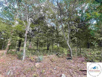 22070 County Rd 254l Rd unit Lots 23, 24, 25 & 26, Wheatland, MO 65779 - photo 5