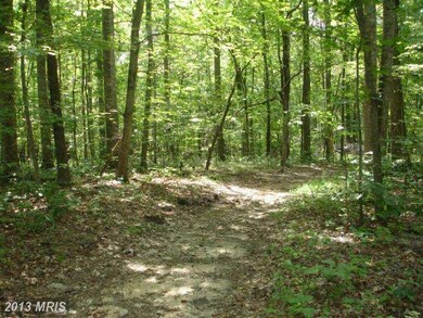 0 Eggbornsville Rd unit 1004090632, Rixeyville, VA 22737 - photo 2