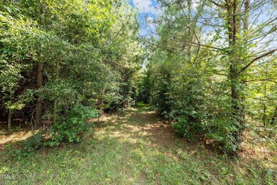 0 Holman Mill Rd unit 10045393, 8, Newlin, NC 27349 - photo 5