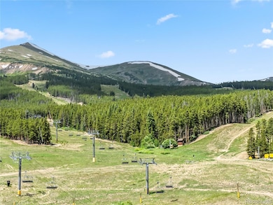 1521 Ski Hill Rd unit 8424, Breckenridge, CO 80424 - photo 6