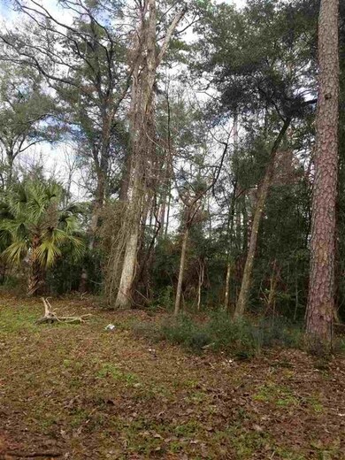 00 Marsue Dr, Crawfordville, FL 32327 - photo 2