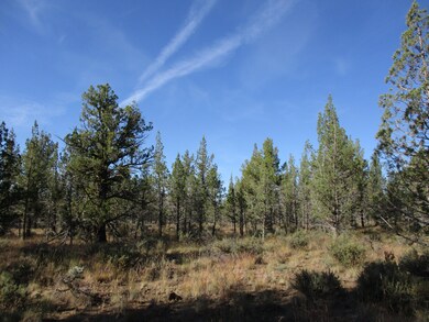 17820 Mountain View Rd, Sisters, OR 97759 - photo 7