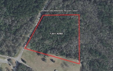 7.32 Ac Oscar Lee Rd, Poplarville, MS 39470 - photo 7